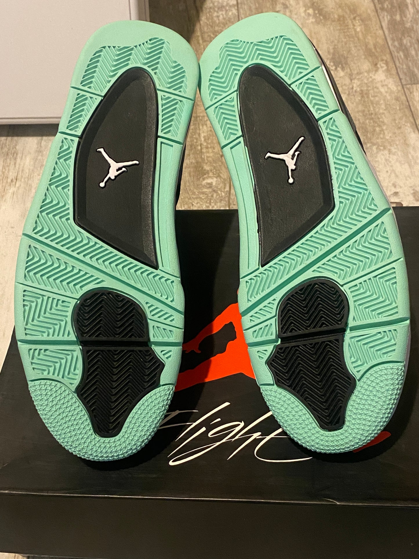 Jordan 4 Green Glow SZ 11M DS